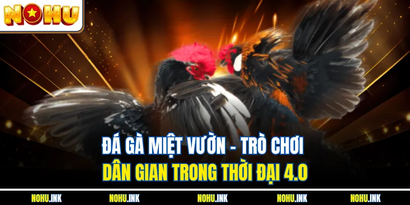 Đá Gà Miệt Vườn - Trò Chơi Dân Gian Trong Thời Đại 4.0