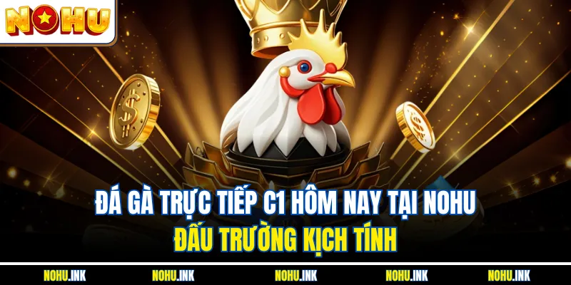 Đá Gà Trực Tiếp C1 Hôm Nay Tại NOHU – Đấu Trường Kịch Tính