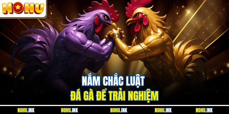 Nắm chắc luật đá gà để trải nghiệm