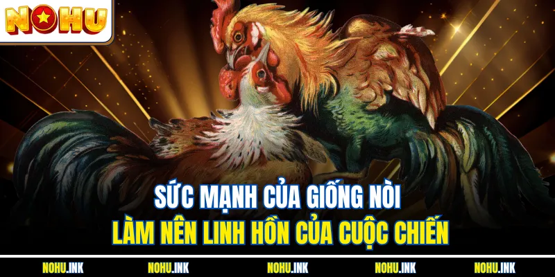 Sức mạnh của giống nòi làm nên linh hồn của cuộc chiến